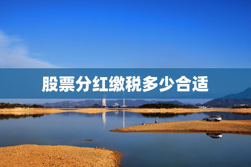 股票分红缴税多少合适