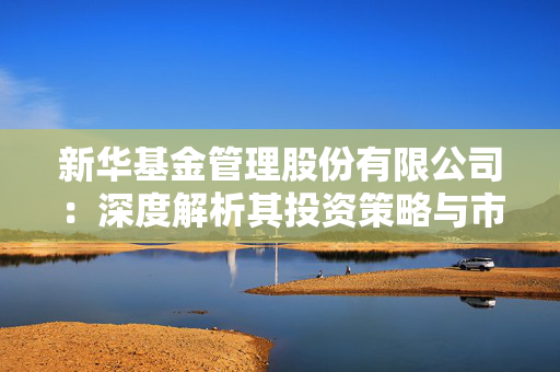 新华基金管理股份有限公司：深度解析其投资策略与市场表现