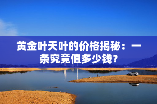 黄金叶天叶的价格揭秘：一条究竟值多少钱？