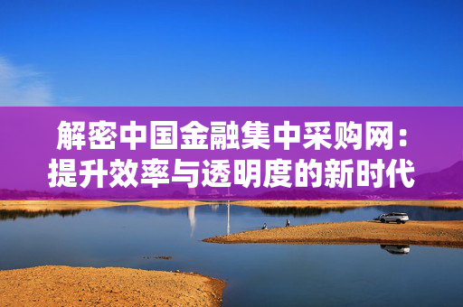 解密中国金融集中采购网：提升效率与透明度的新时代