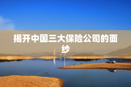 揭开中国三大保险公司的面纱