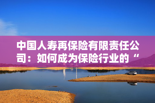 中国人寿再保险有限责任公司：如何成为保险行业的“安全阀”？