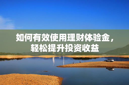 如何有效使用理财体验金，轻松提升投资收益