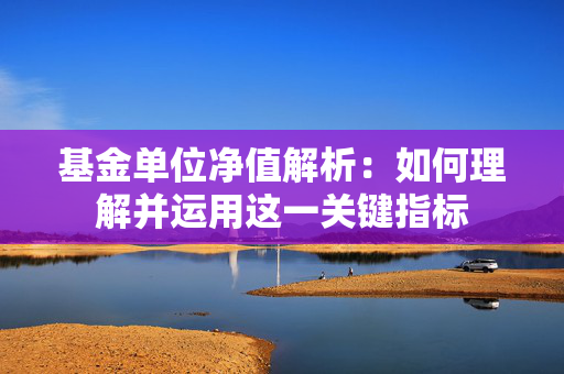 基金单位净值解析：如何理解并运用这一关键指标