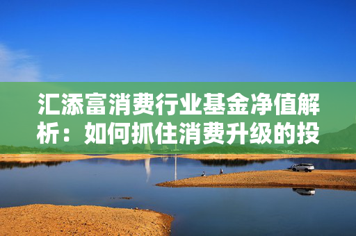 汇添富消费行业基金净值解析：如何抓住消费升级的投资机会？