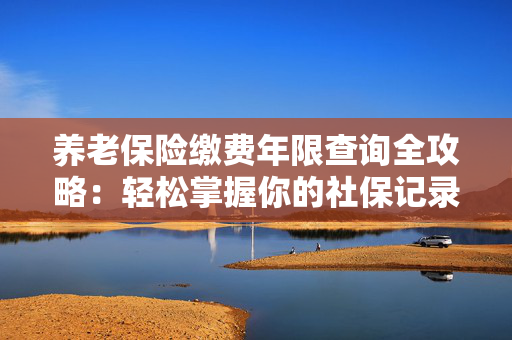养老保险缴费年限查询全攻略：轻松掌握你的社保记录