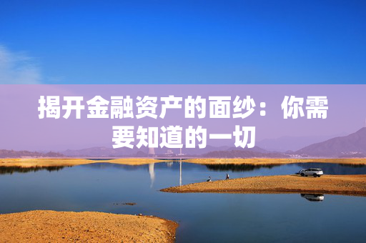 揭开金融资产的面纱：你需要知道的一切