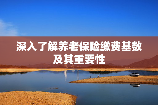 深入了解养老保险缴费基数及其重要性