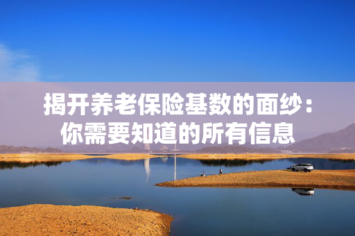 揭开养老保险基数的面纱：你需要知道的所有信息