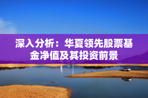 深入分析：华夏领先股票基金净值及其投资前景
