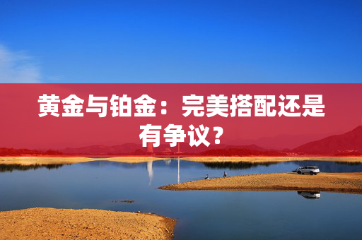 黄金与铂金：完美搭配还是有争议？