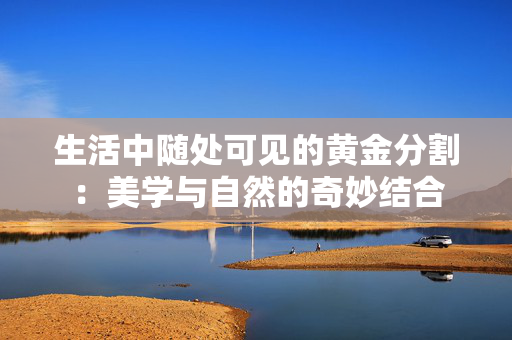 生活中随处可见的黄金分割：美学与自然的奇妙结合