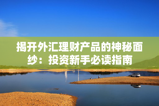 揭开外汇理财产品的神秘面纱：投资新手必读指南