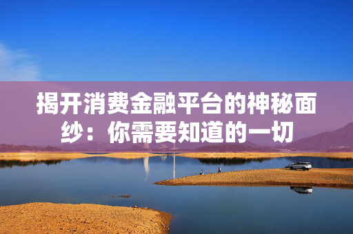揭开消费金融平台的神秘面纱：你需要知道的一切