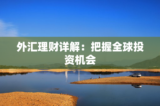 外汇理财详解：把握全球投资机会
