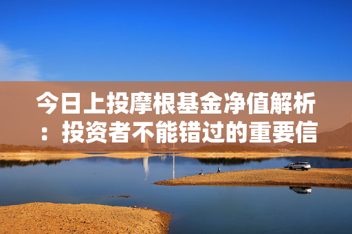 今日上投摩根基金净值解析：投资者不能错过的重要信息