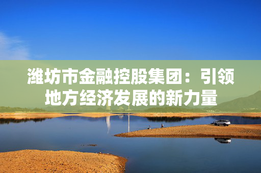 潍坊市金融控股集团：引领地方经济发展的新力量