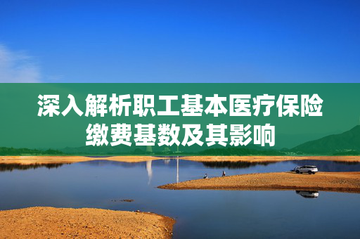 深入解析职工基本医疗保险缴费基数及其影响