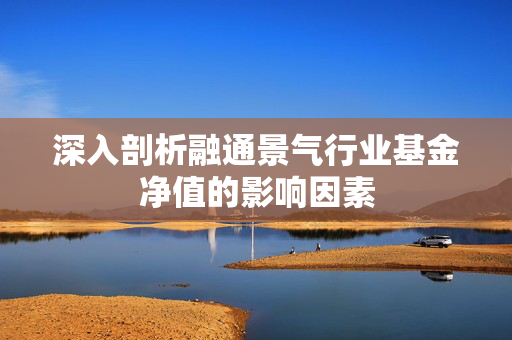 深入剖析融通景气行业基金净值的影响因素