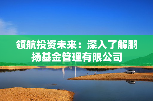 领航投资未来：深入了解鹏扬基金管理有限公司