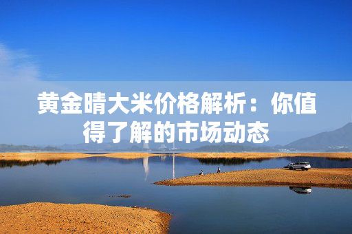 黄金晴大米价格解析：你值得了解的市场动态