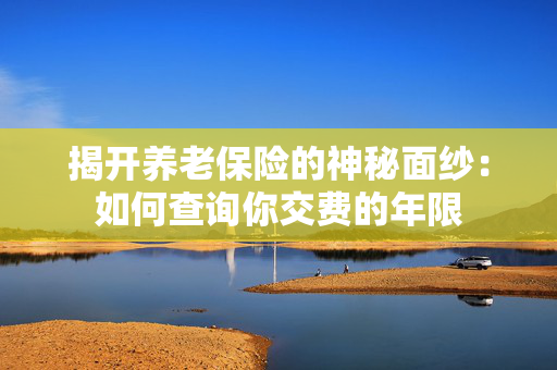 揭开养老保险的神秘面纱：如何查询你交费的年限