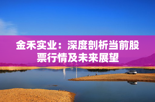 金禾实业：深度剖析当前股票行情及未来展望