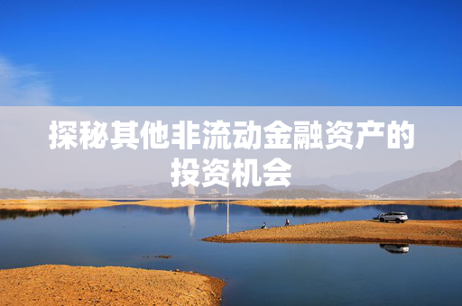 探秘其他非流动金融资产的投资机会