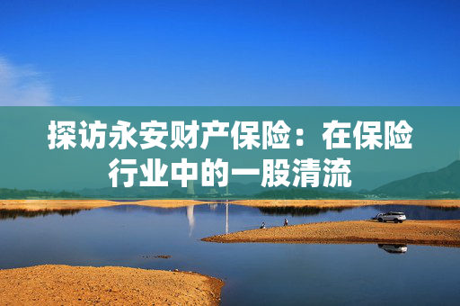 探访永安财产保险：在保险行业中的一股清流