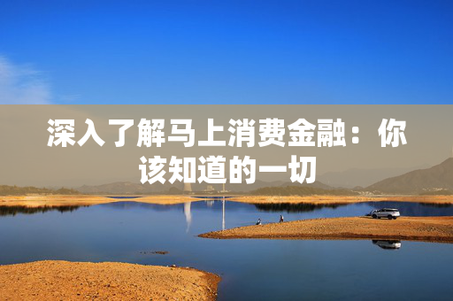 深入了解马上消费金融：你该知道的一切
